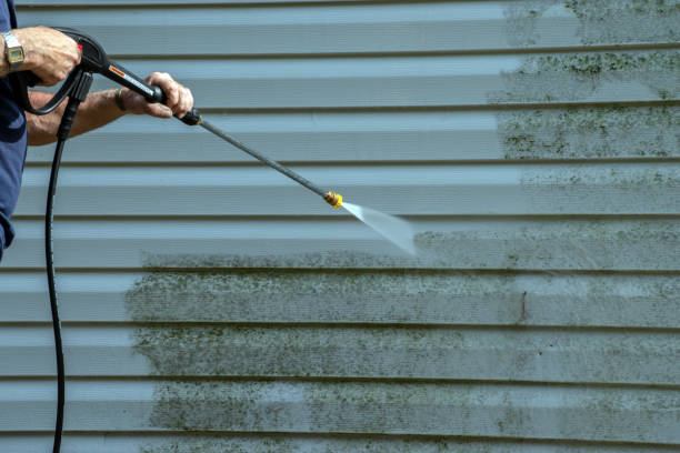 Best Roof Washing  in Macdonnell Heights, NY